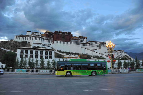 廣西科技獎勵產業化項目含金量持續攀升，三年吸金超5000億元凸顯技術服務體系價值